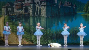 szaffi 1