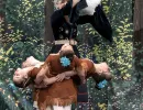 szaffi 2