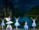 szaffi3