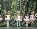 szaffi3